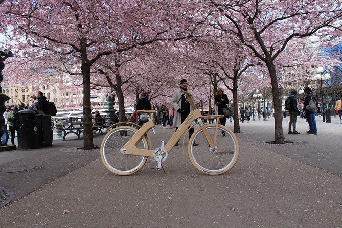 The Wooden Bicycle Tour in Stockholm - Price and Value: What You Pay For