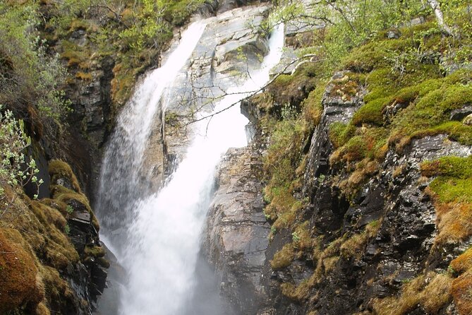 Tour to Abisko national park - Key things to know before you go