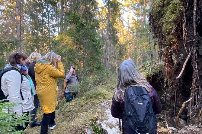 Wolf and Wildlife Tracking in Sweden - Why This Wolf Tracking Tour in Stockholm Feels Worth It