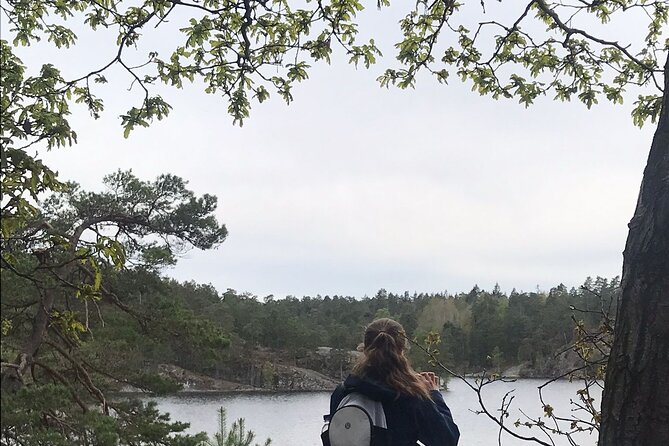 Wolf and Wildlife Tracking in Sweden - Key Points You Should Know Before You Go